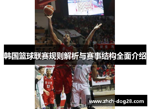 韩国篮球联赛规则解析与赛事结构全面介绍