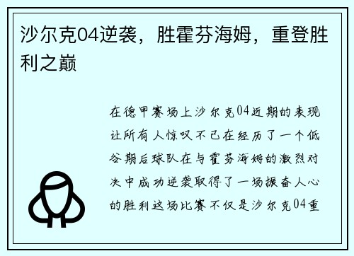 沙尔克04逆袭，胜霍芬海姆，重登胜利之巅